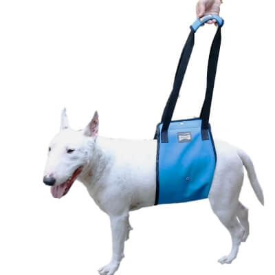 Фото: Поддержка для собак (задняя) Lemi M-4 Поддержка для собак (задняя) Lemi M-4